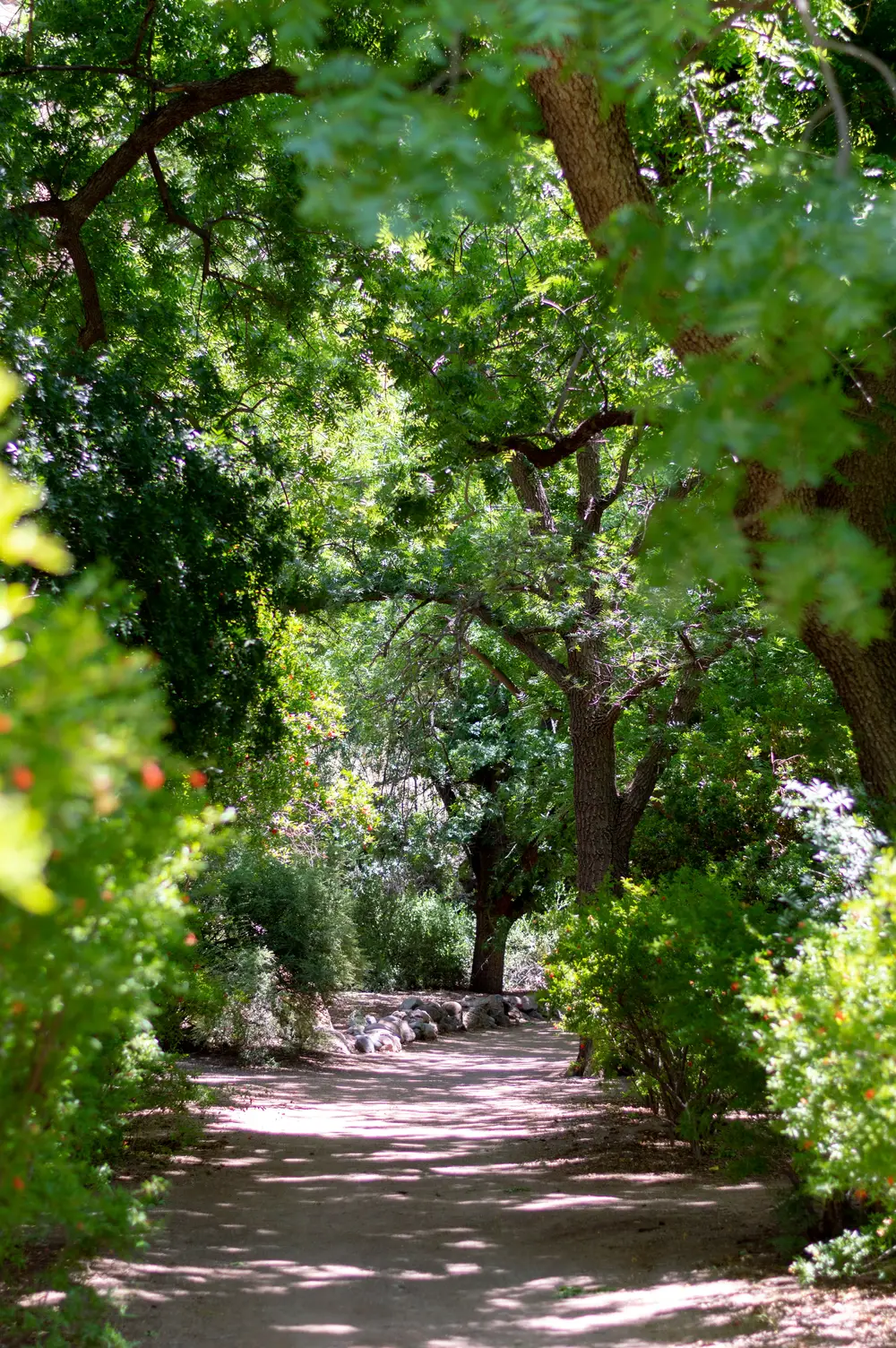 Botanical Garden